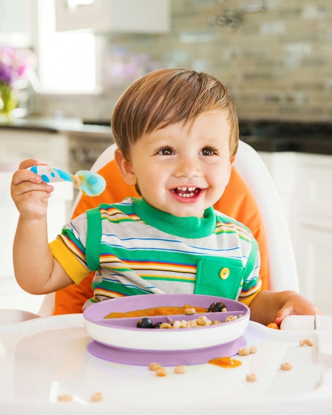 PLATO MORADO MUNCHKIN ADHERIBLE