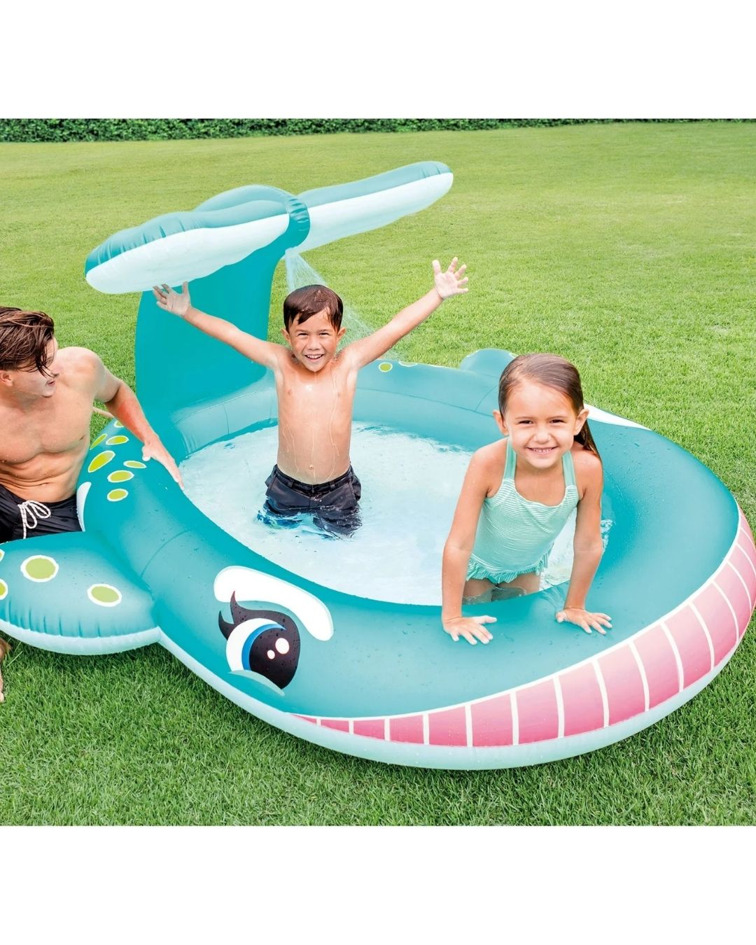 PISCINA DE BALLENA AZUL