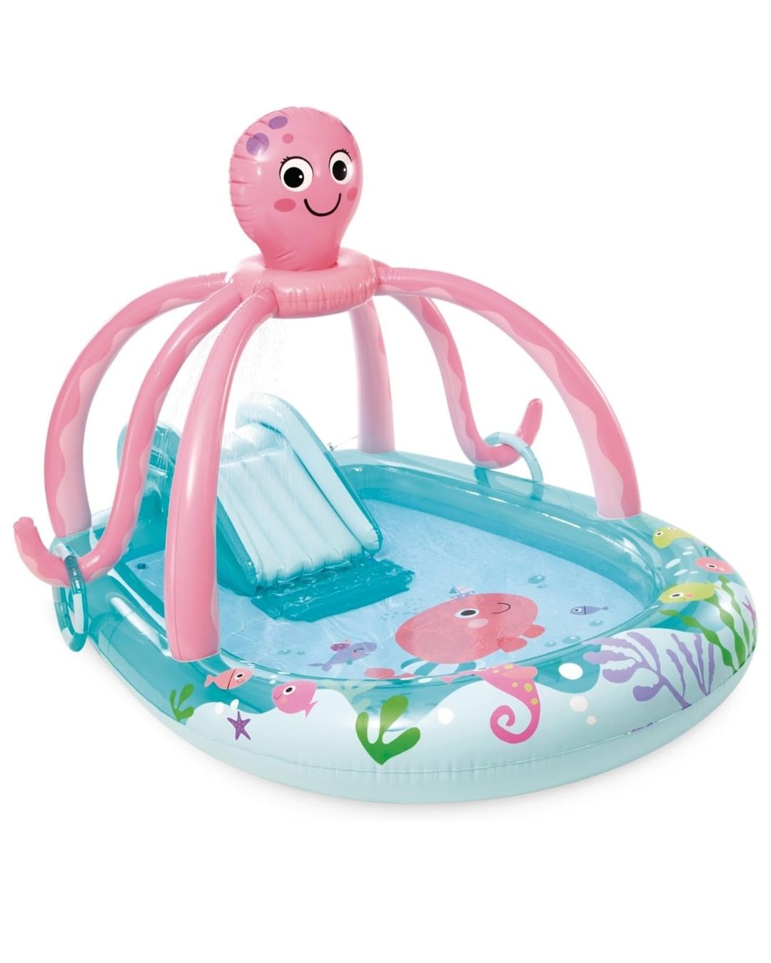 PISCINA PULPO
