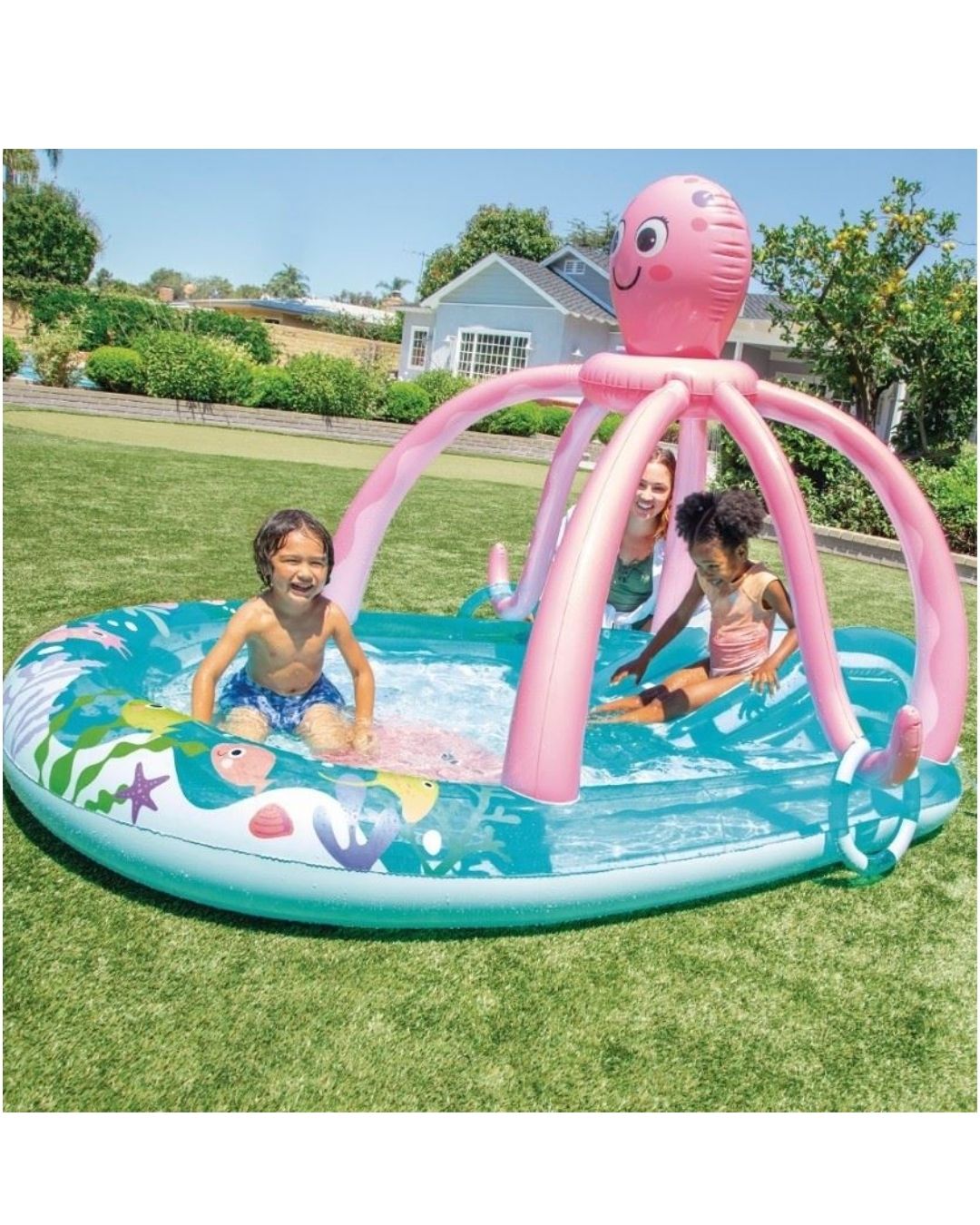 PISCINA PULPO