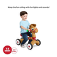 PONY RADIO FLYER