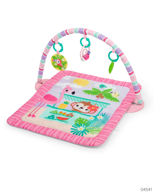 GIMNASIO ANIMALITOS ROSA