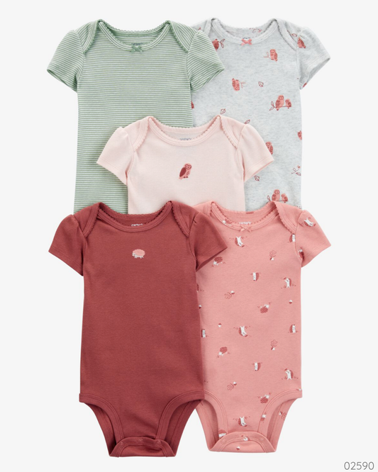 MAMELUCO 5 PZS CARTER´S BUHO