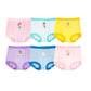 CALZONCITOS ENTRENADORES PRINCESAS 6 PZ
