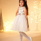 VESTIDO ELEGANTE CHONGO PLATEADO